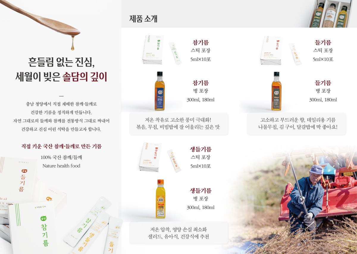 솔담2
