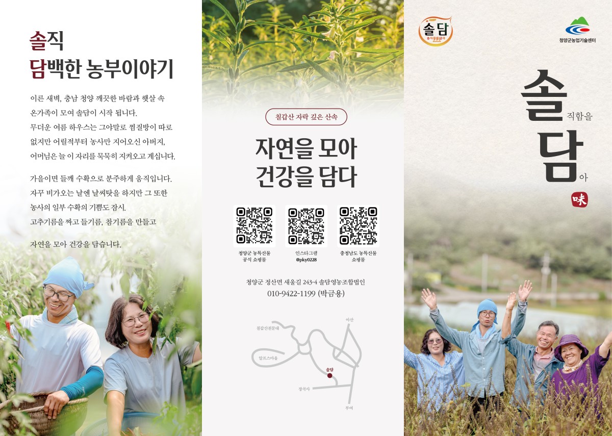 솔담1